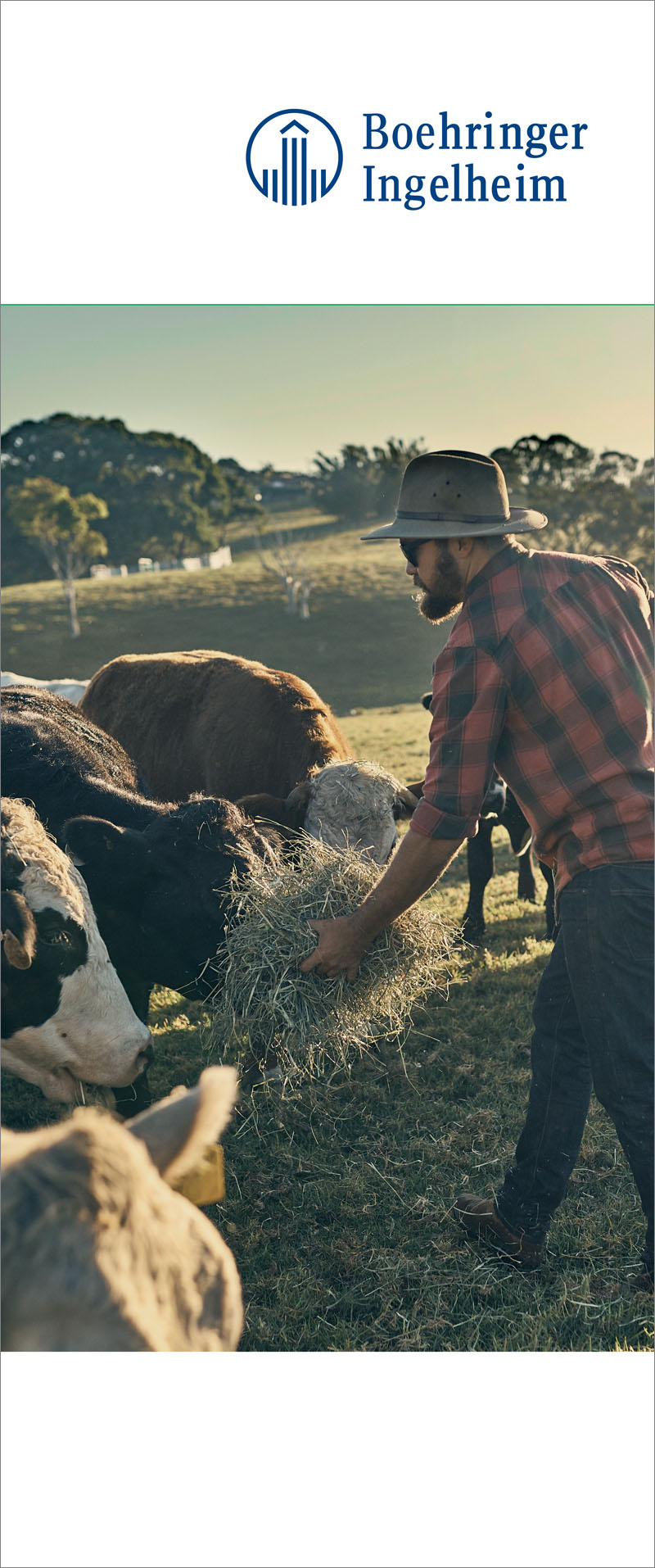 boehringer-ingelheim-animal-health-clientes-chiappini